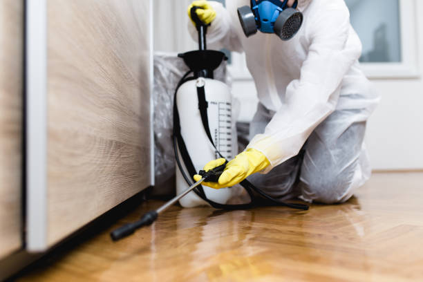 Best Commercial Pest Control Services  in Elmsford, NY