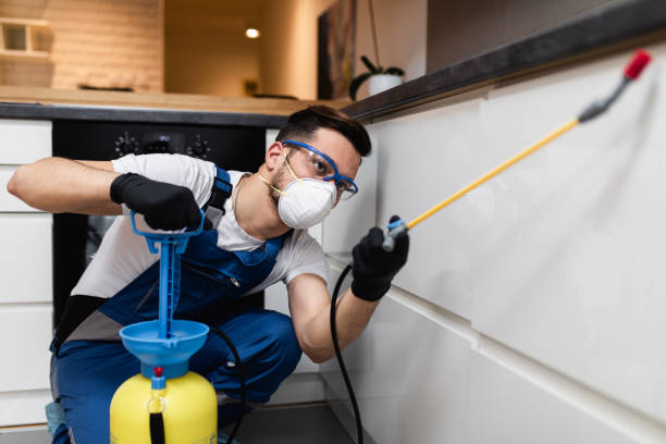 Best Wasp Removal Services  in Elmsford, NY