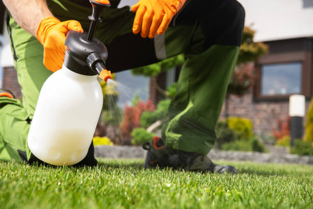 Best Exterminator Services  in Elmsford, NY