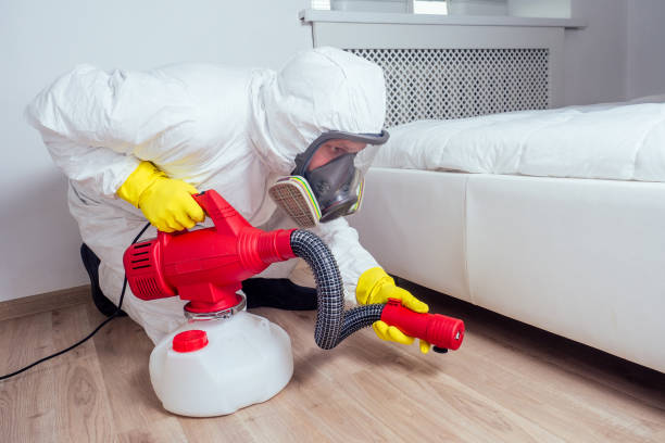 Best Affordable Pest Control Services  in Elmsford, NY